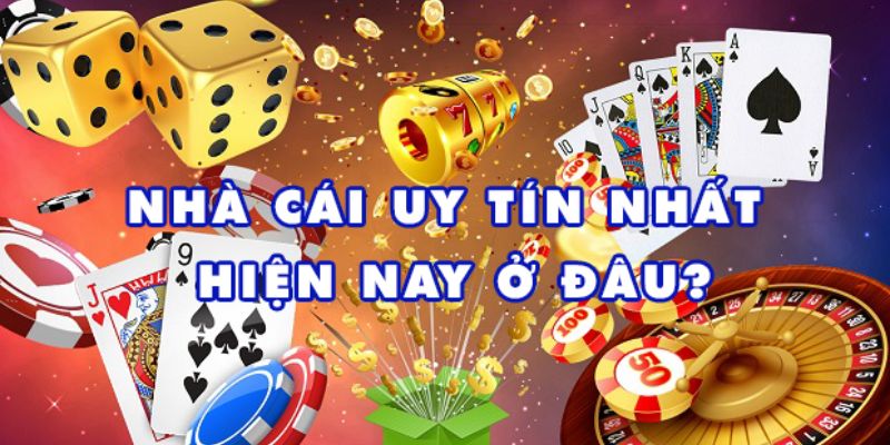 Tìm hiểu tổng quan về 8xbet owner