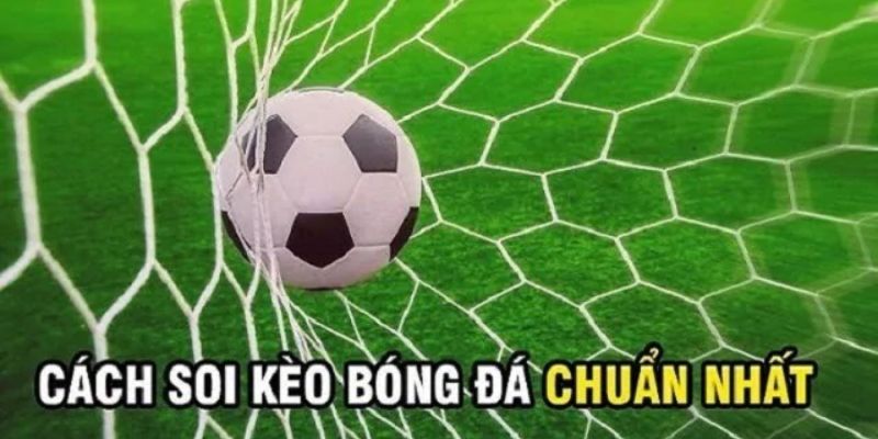 Một vài gợi ý soi kèo ba lan vs hà lan hiệu quả  